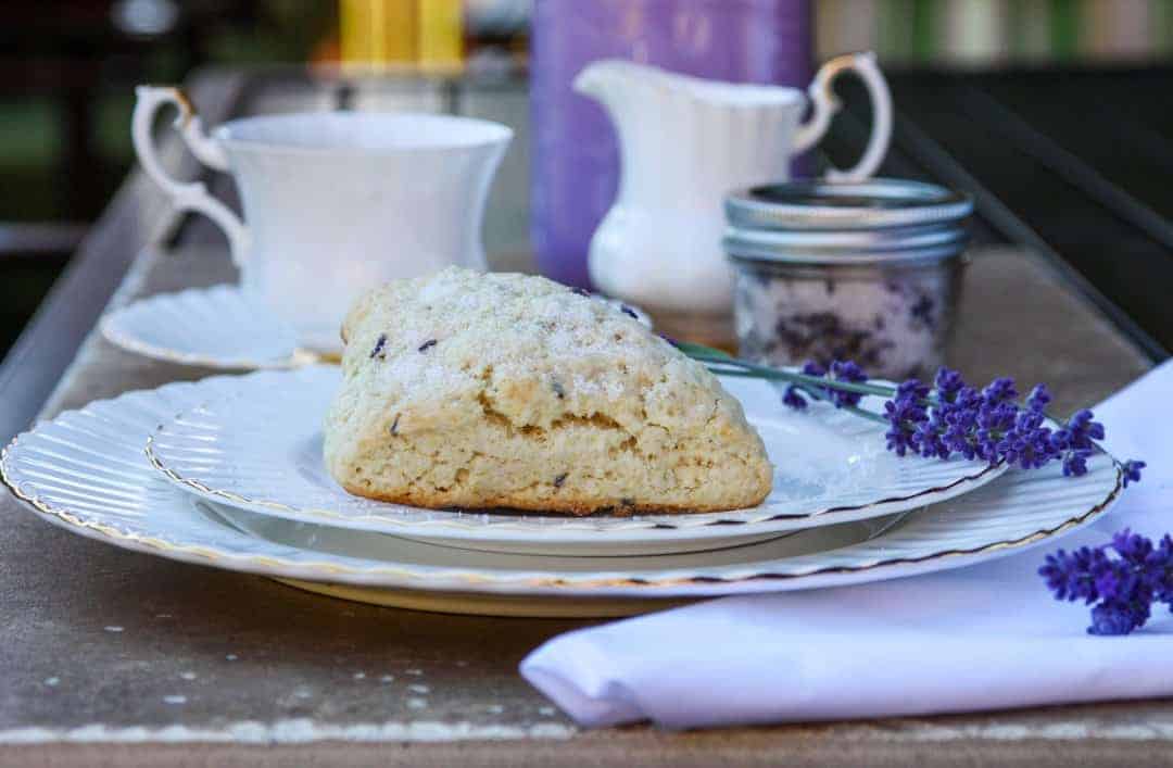 A scone on a plate, with Lavender