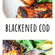 A fork cutting into a fillet of pan seared fish.